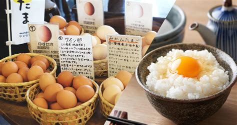 egg japan digital company|About EGG JAPAN .
